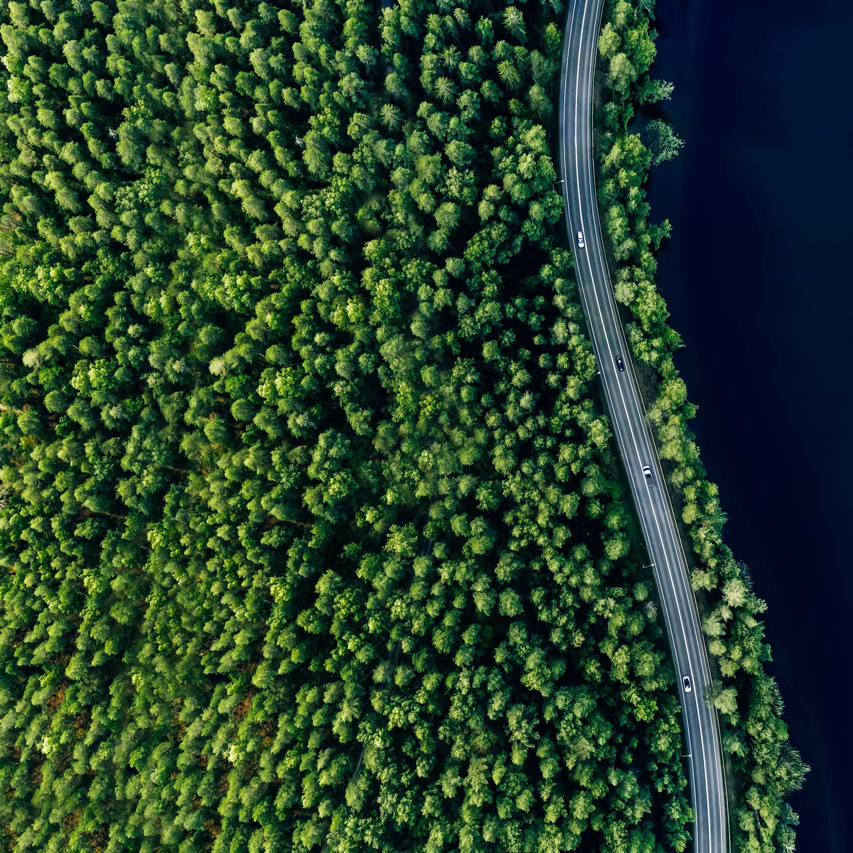 Vogelperspektive auf Bäume, eine Straße und das Meer