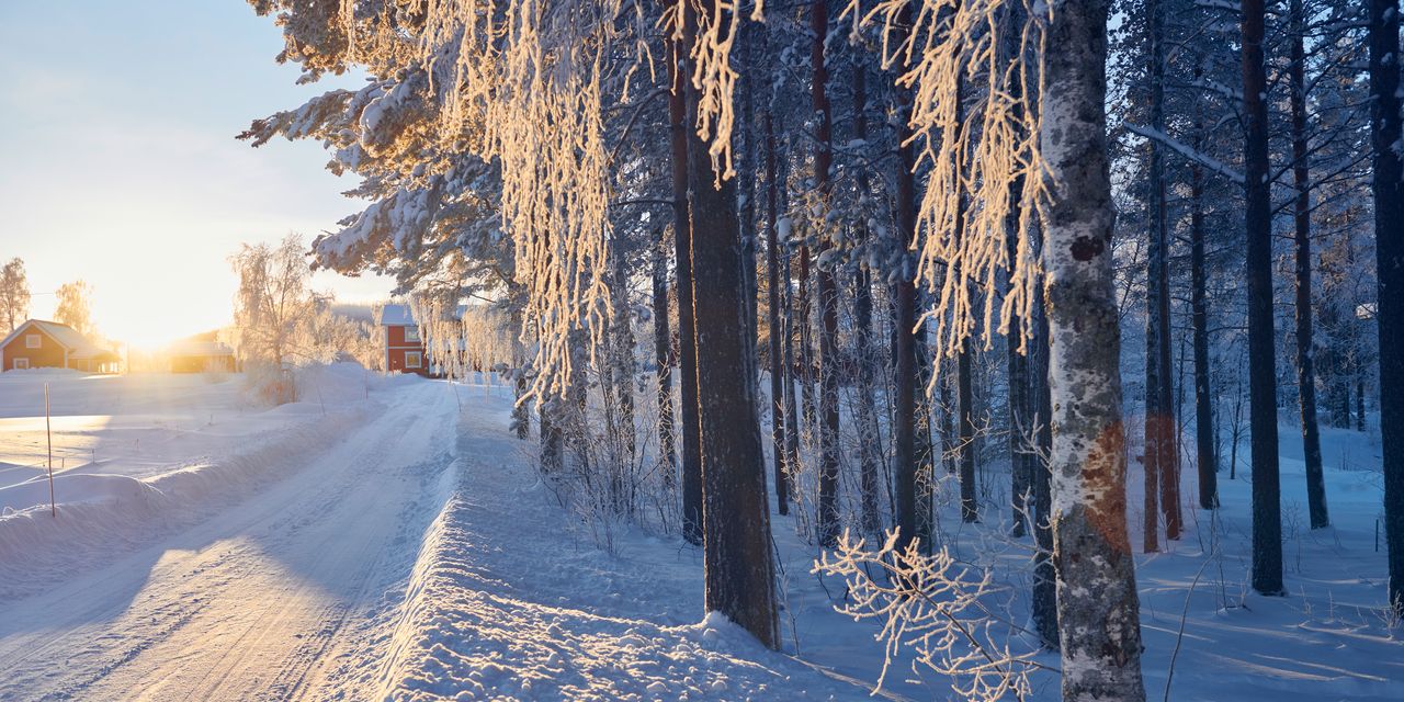 Eine verschneite Straße neben einem Wald an einem sonnigen Wintertag.