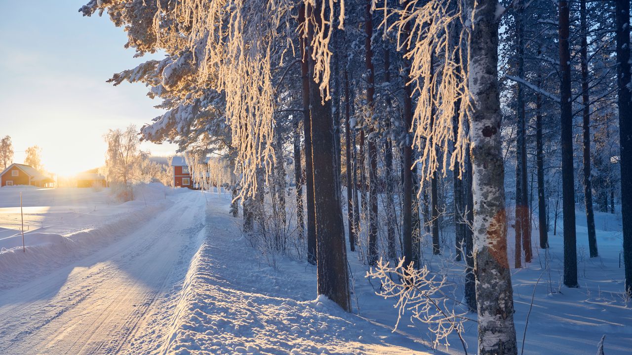 Eine verschneite Straße neben einem Wald an einem sonnigen Wintertag.