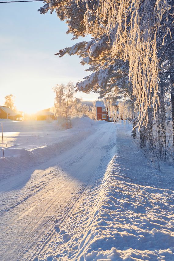 Eine verschneite Straße neben einem Wald an einem sonnigen Wintertag.