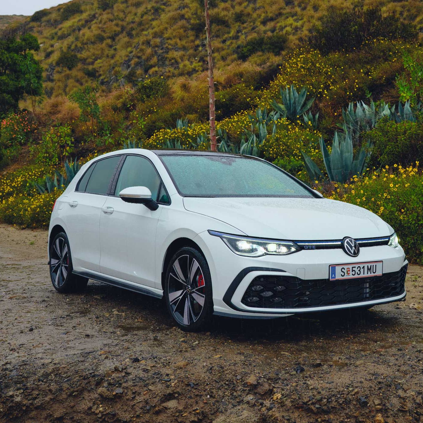 Golf GTE auf einer Waldstraße 