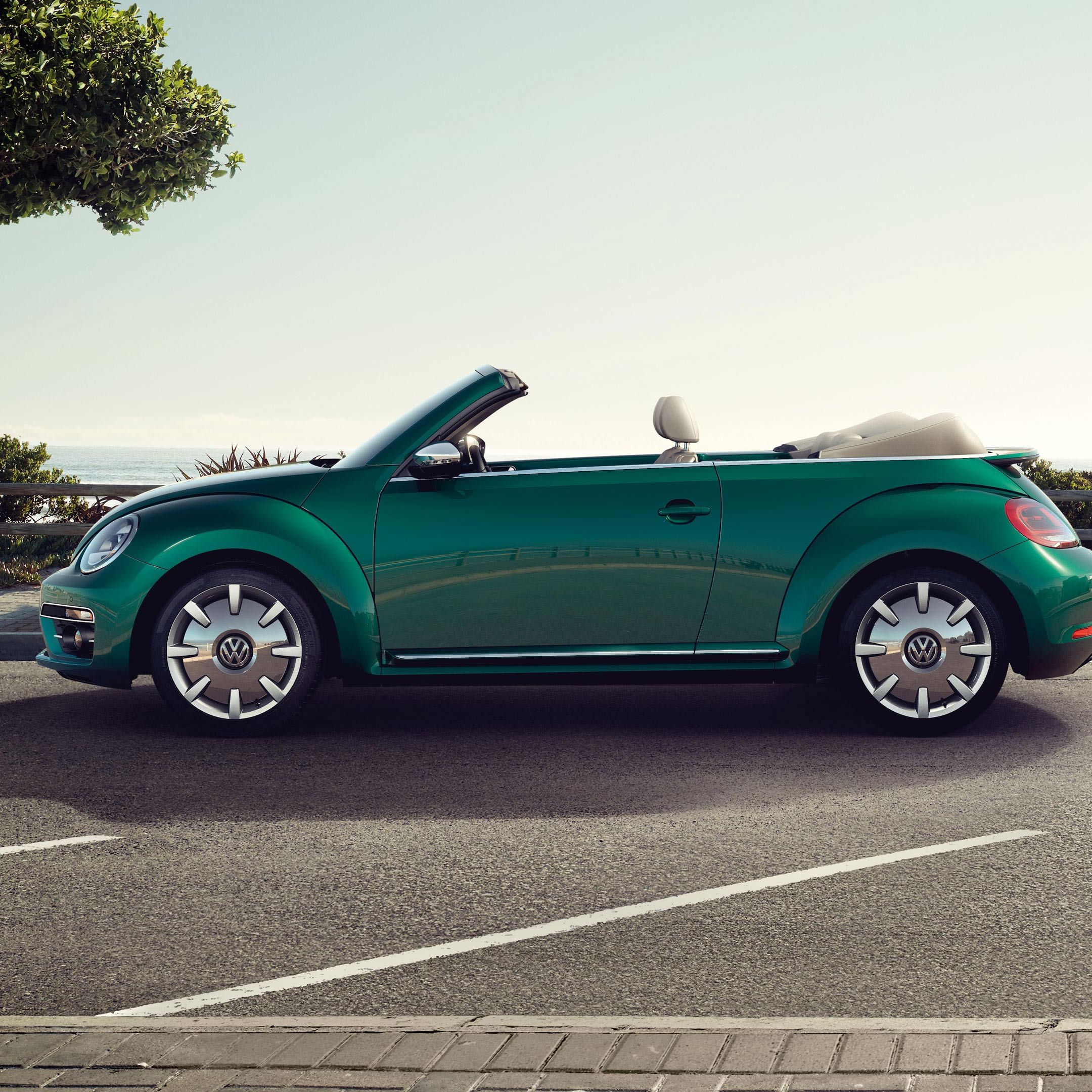 VW Beetle Cabrio grün Exterieur Seitenansicht